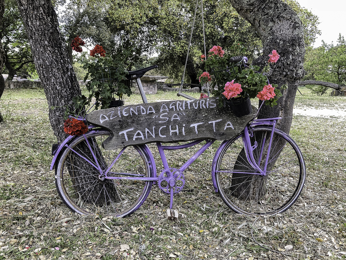 Agriturismo Sa Tanchitta