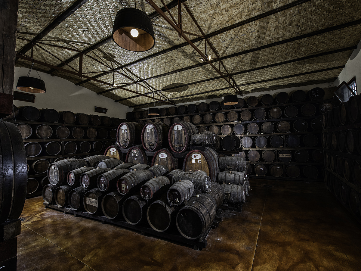 1-contini-vini-cantina