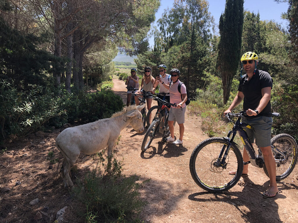 Biking Sardinia day tour